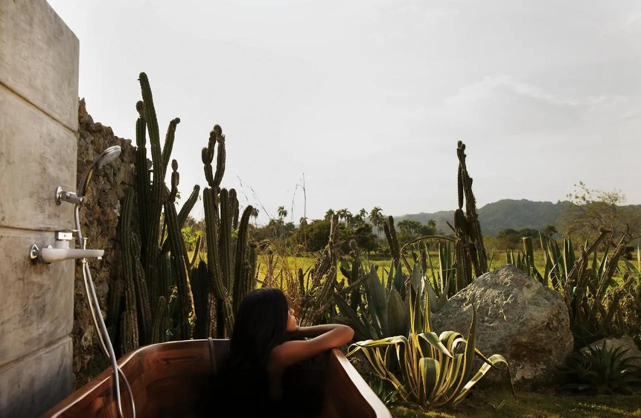 Luksusowy namiot Green Land Bubble Glamping By Mint Cabarete