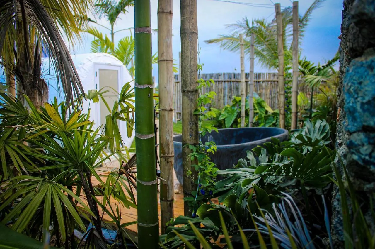 Green Land Bubble Glamping By Mint Cabarete Luksusowy namiot