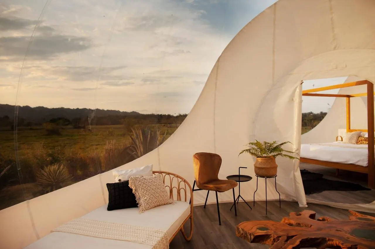 Green Land Bubble Glamping By Mint Cabarete