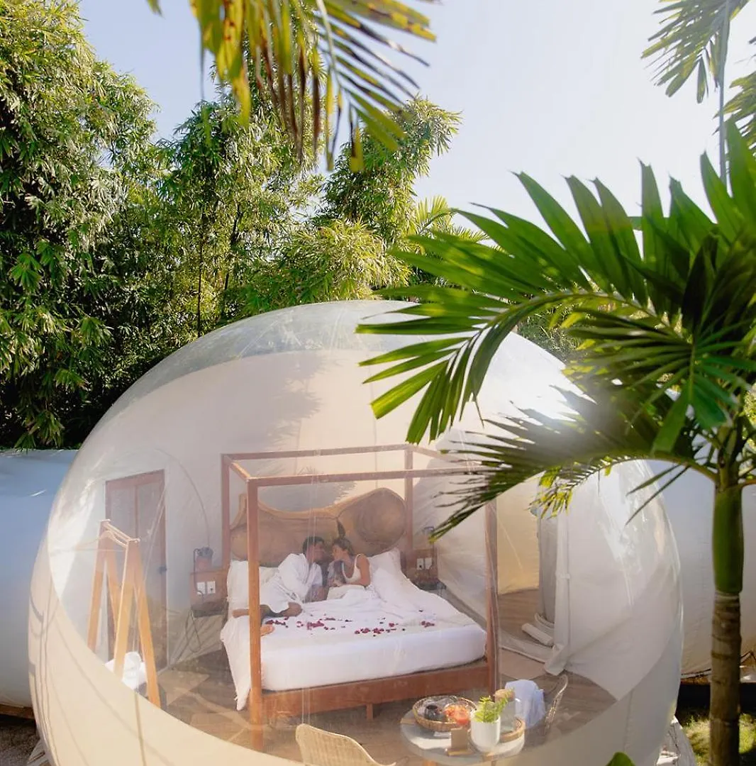 Luksusowy namiot Green Land Bubble Glamping By Mint Cabarete Dominikana