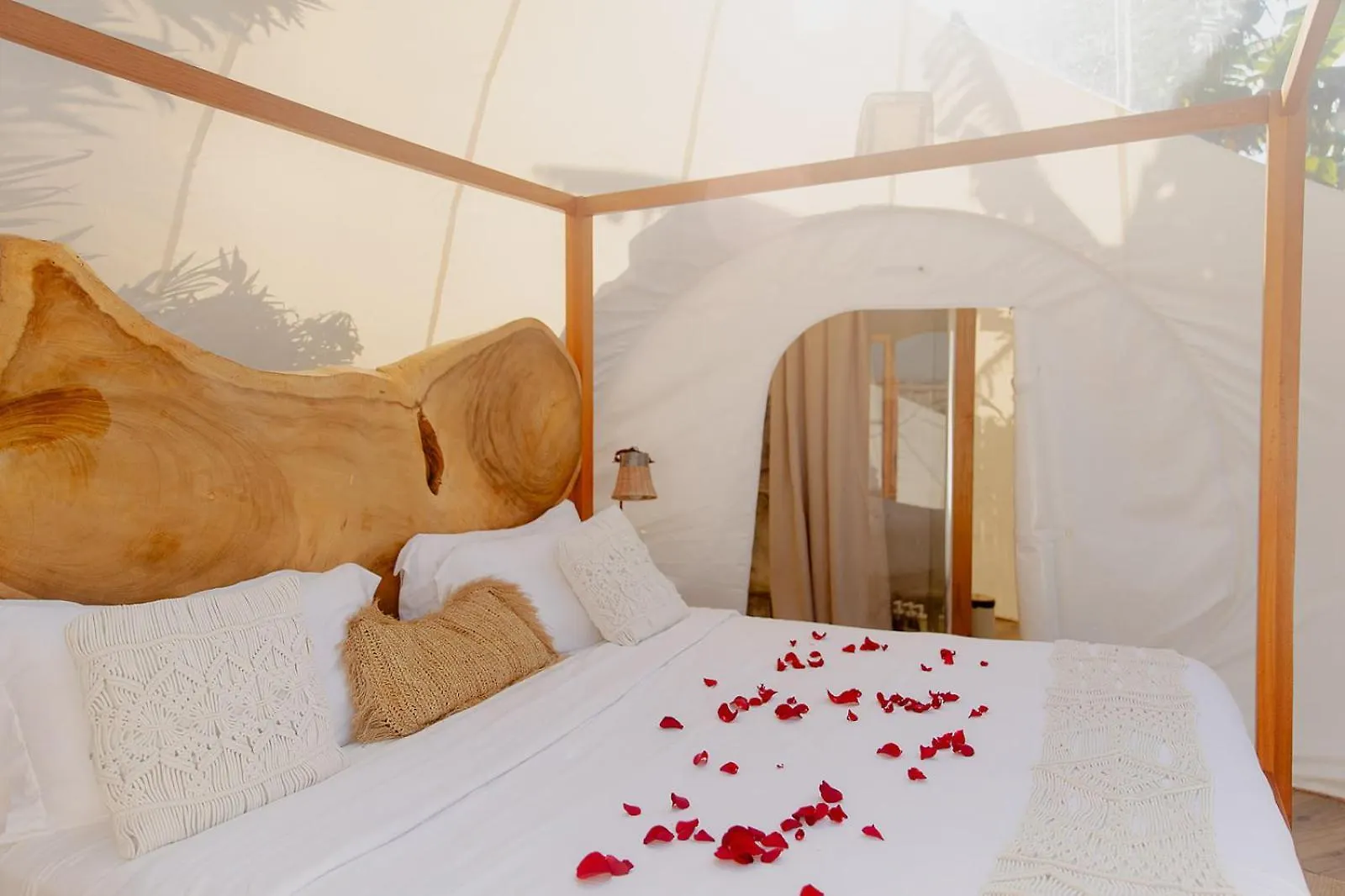 Green Land Bubble Glamping By Mint Cabarete