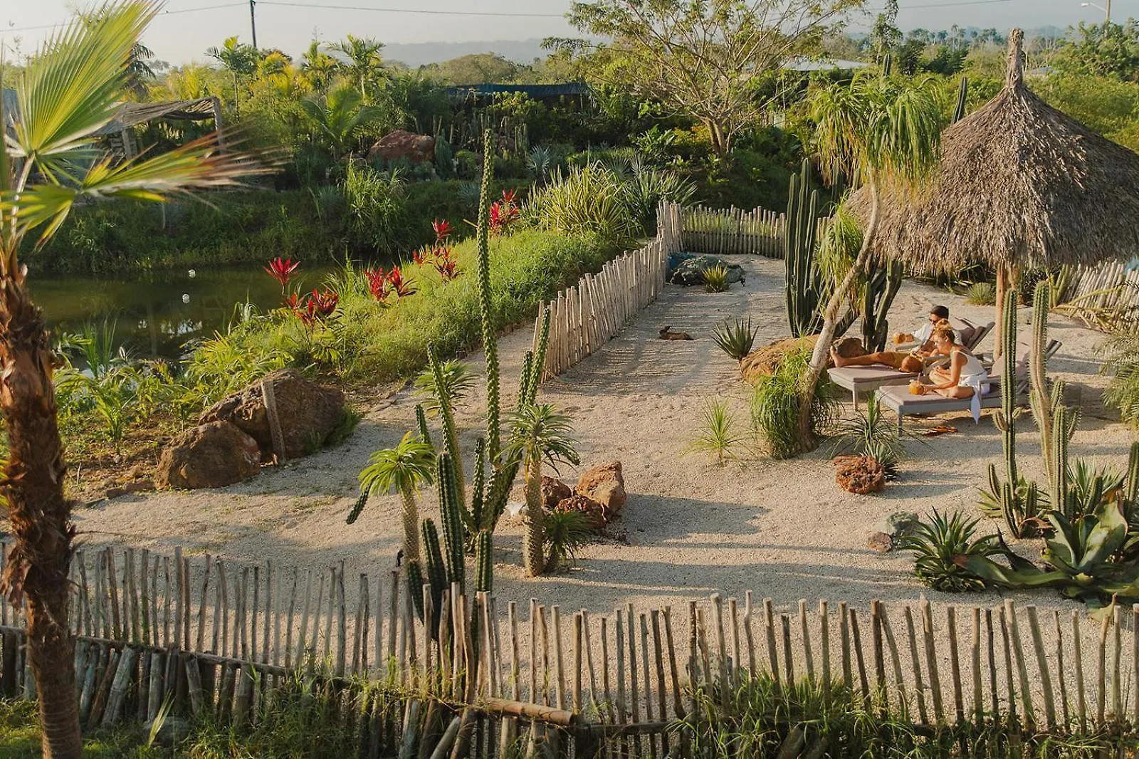 Green Land Bubble Glamping By Mint Cabarete 0*,