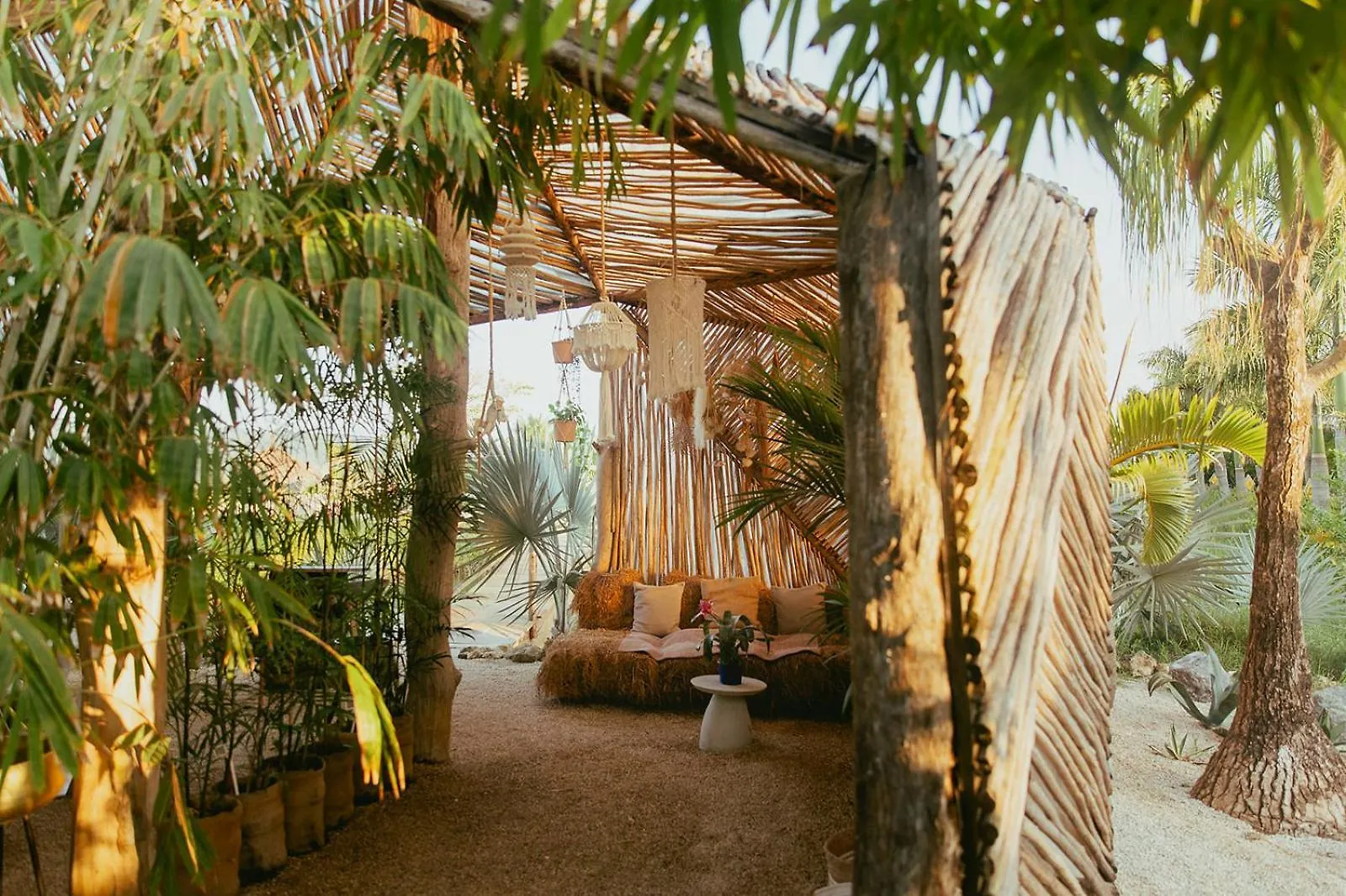 Green Land Bubble Glamping By Mint Cabarete Luksusowy namiot
