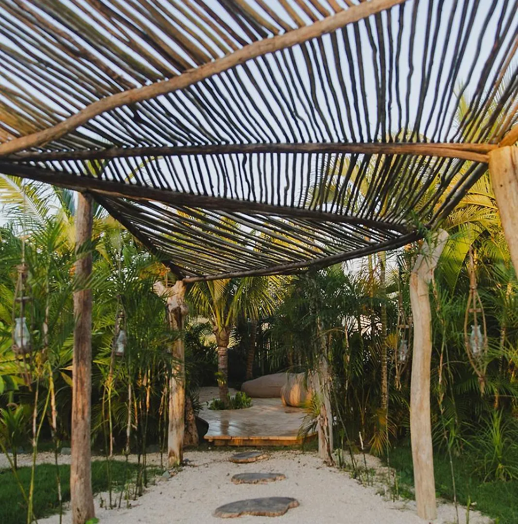 Green Land Bubble Glamping By Mint Cabarete 0*,