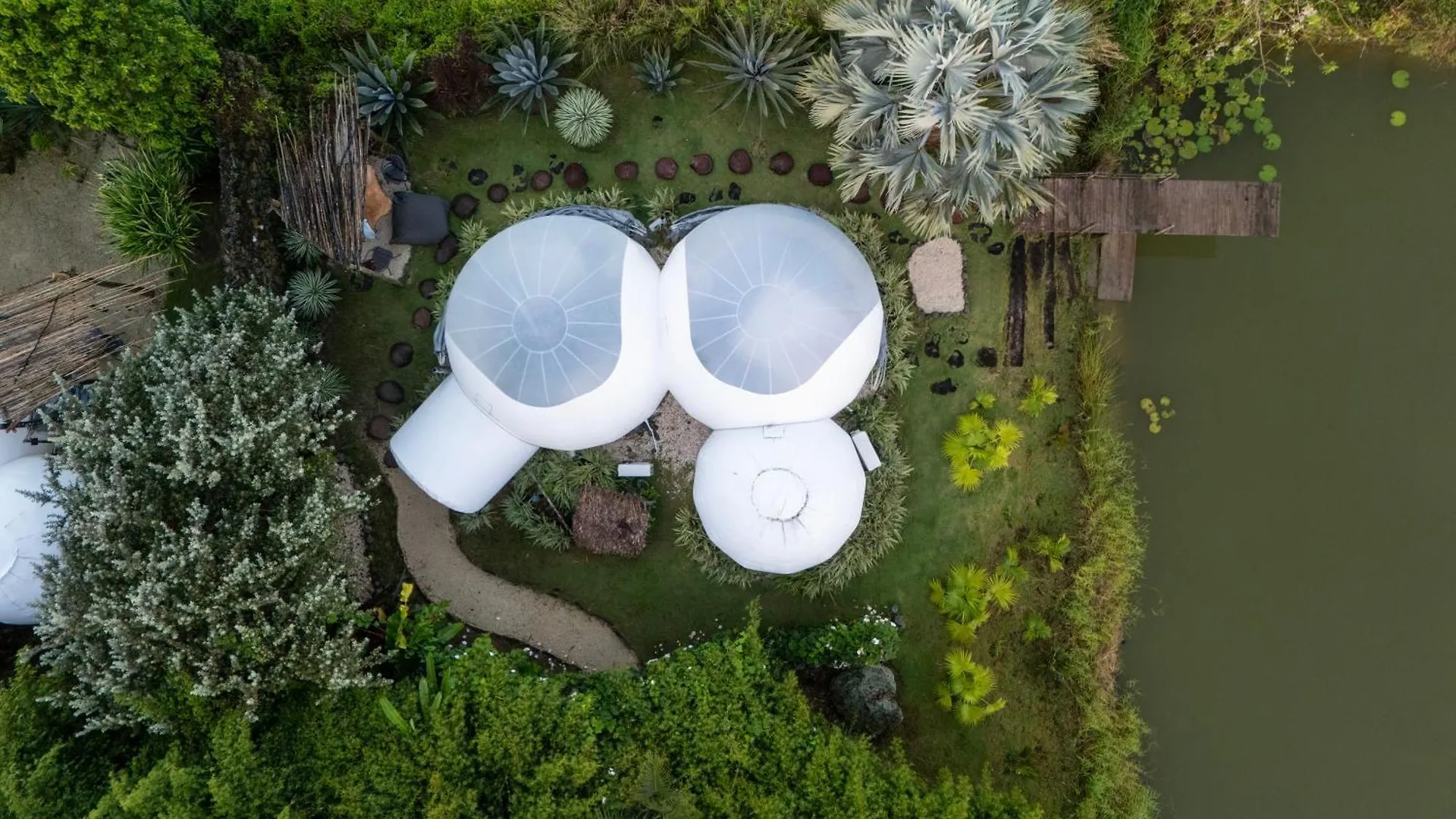 Green Land Bubble Glamping By Mint Cabarete