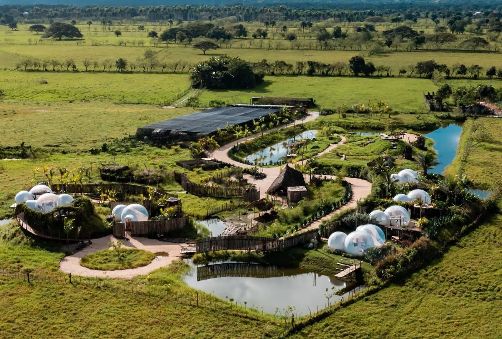Luksusowy namiot Green Land Bubble Glamping By Mint Cabarete