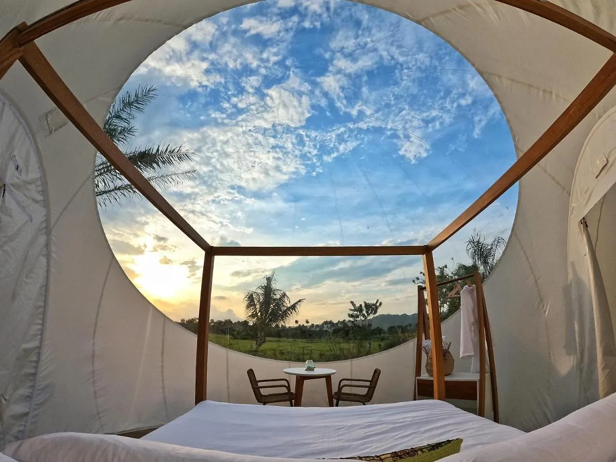 Green Land Bubble Glamping By Mint Cabarete