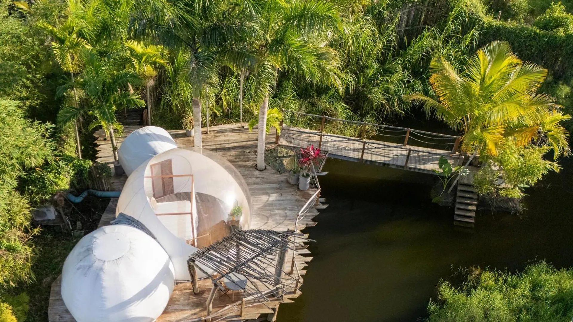 Luxussátor Green Land Bubble Glamping By Mint Cabarete Dominikai Köztársaság